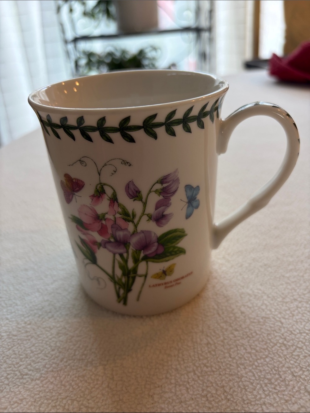 Portmeirion Botanic Garden Coffee Cup 12oz